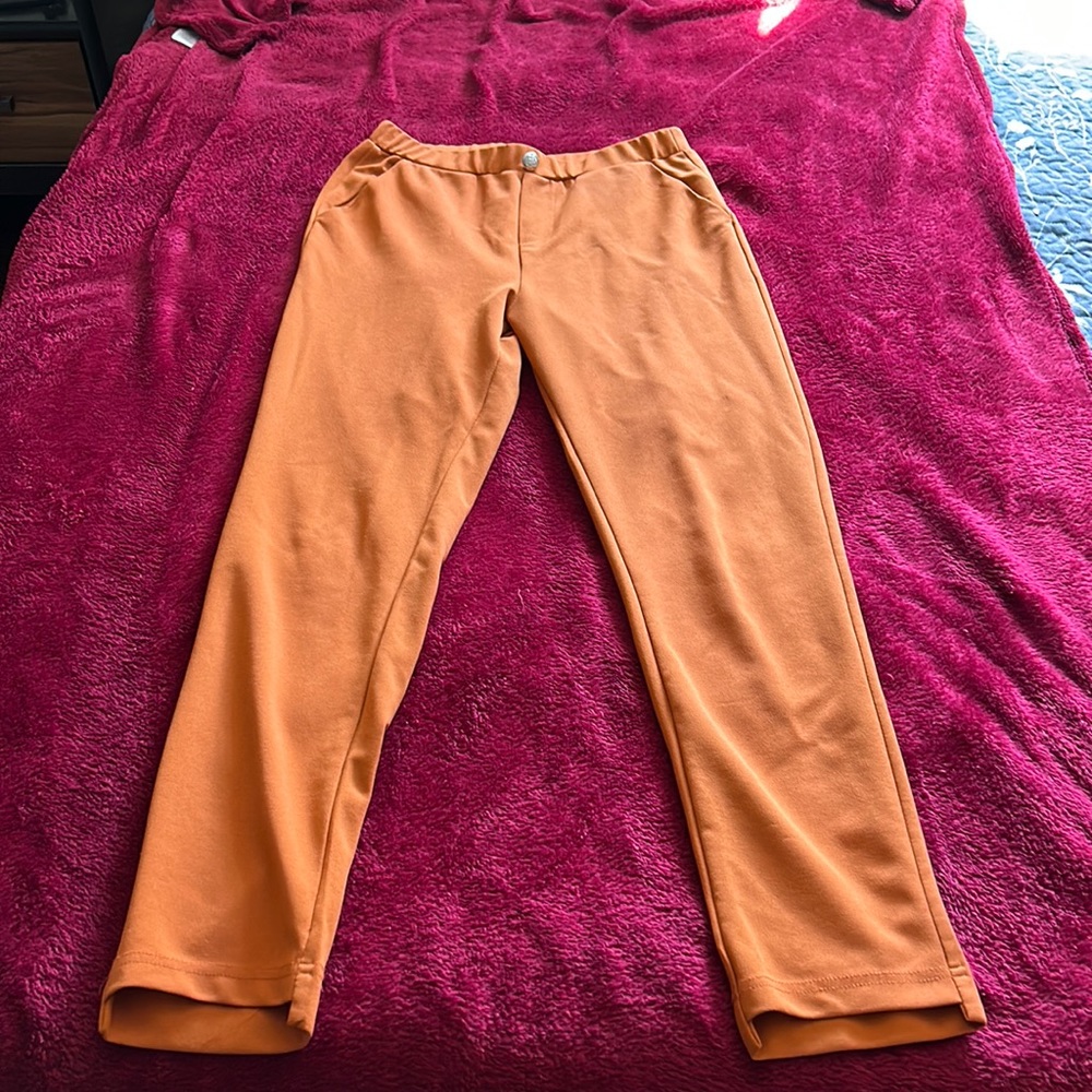 Rust/orange slacks with pockets : stretch waist